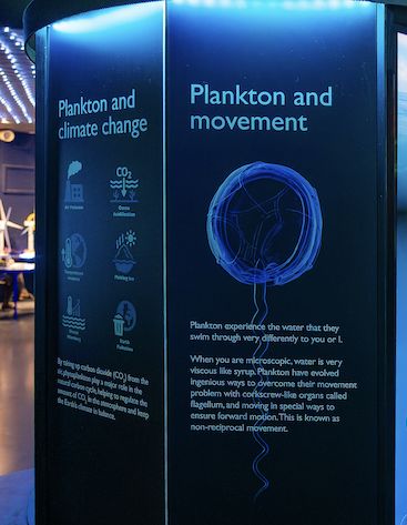 Grafički, Produkt i Content Dizajn